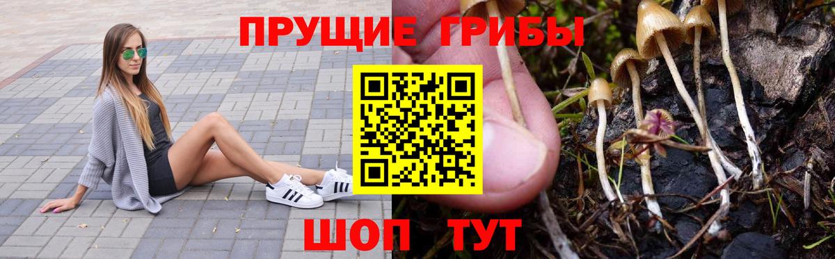 Псилоцибиновые грибы мухоморы  Вход с VPN  Назарово  Галлюциногенные грибы Psilocybine cubensis 